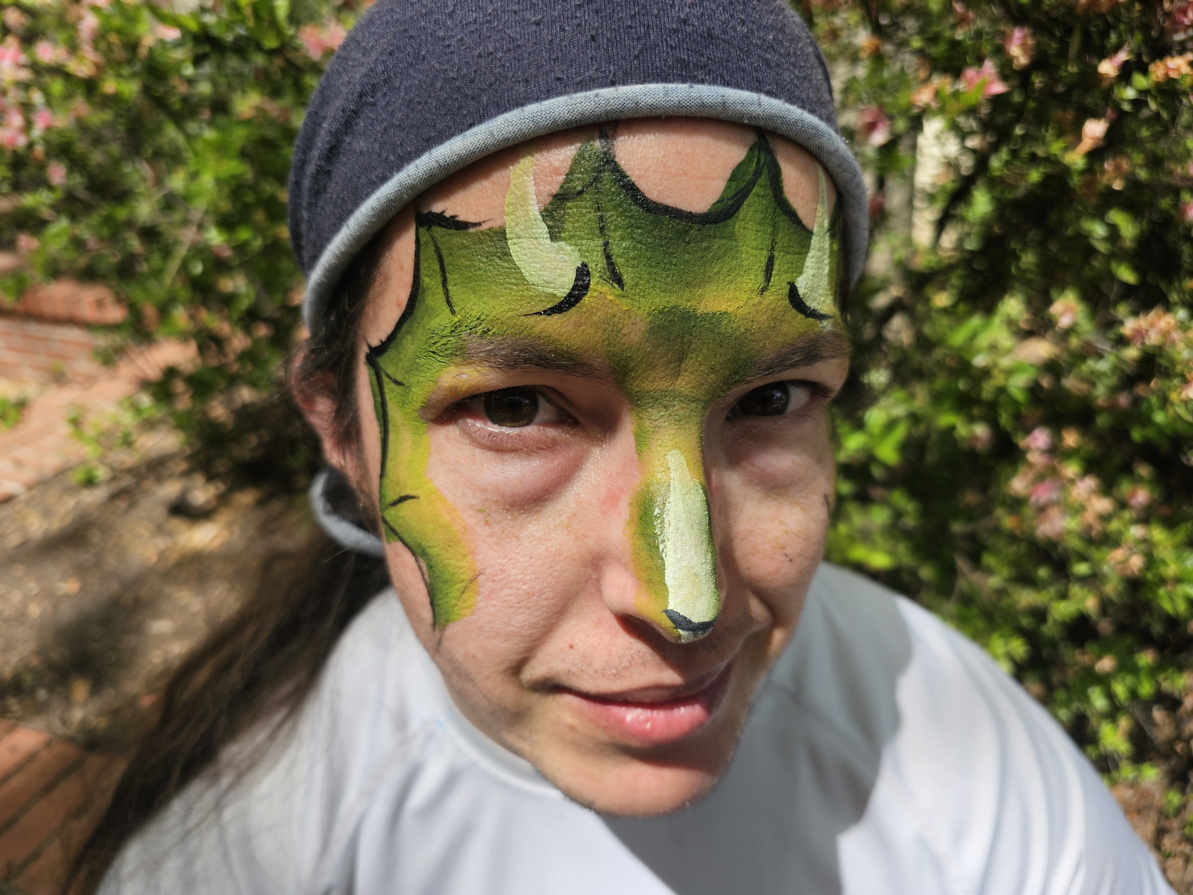 Dragon face paint